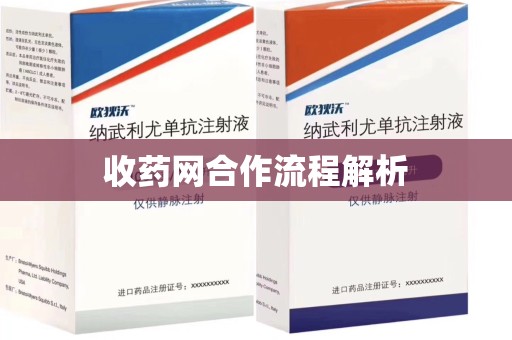 北京收药网合作流程解析